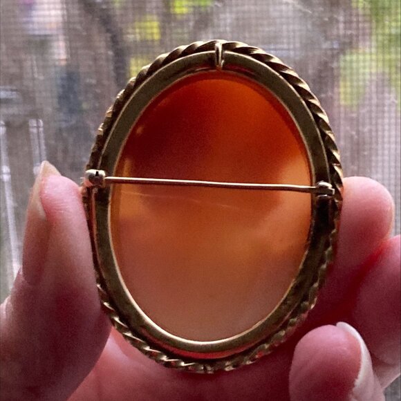 Magnificent left-facing gold-filled shell cameo brooch/pendant - Picture 6 of 8